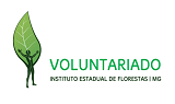 banner-voluntariado Capa