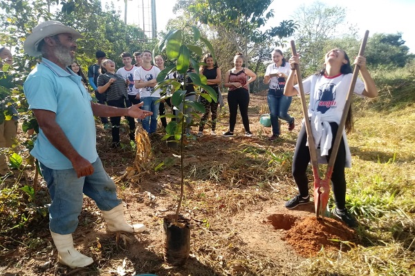 Mata_do_Cedro_5-Dentro