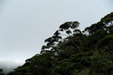 parque_estadual_da_serra_do_brigadeiro_-foto_evandro_rodney_capa