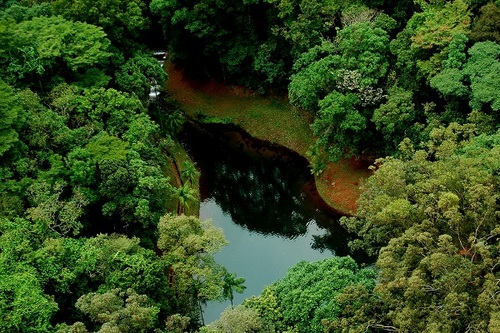 Evento acontece no Parque Estadual da Serra do Rola-Moça, uma das unidade de conservação mais importantes da Região Metropolitana de Belo Horizonte, que completa neste dia 27 de setembro 30 anos de criação pelo Estado