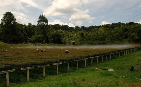 Igam_disponibiliza_planilha_para_medição_de_vazão_de_agua