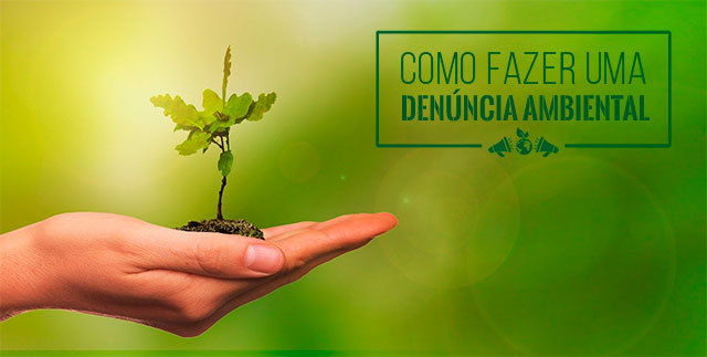 denuncia-ambiental-como-fazer-dentro