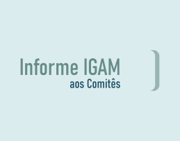 Banner Informe IGAM aos Comits OK
